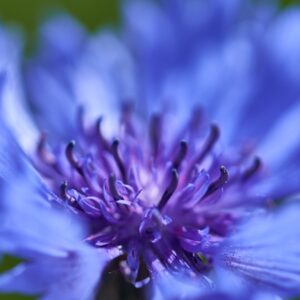 BLAUE STUNDE – 60 Minuten Power